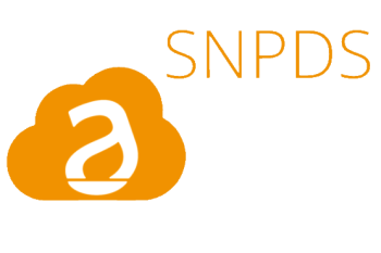 SINAPSI DATA SERVICE